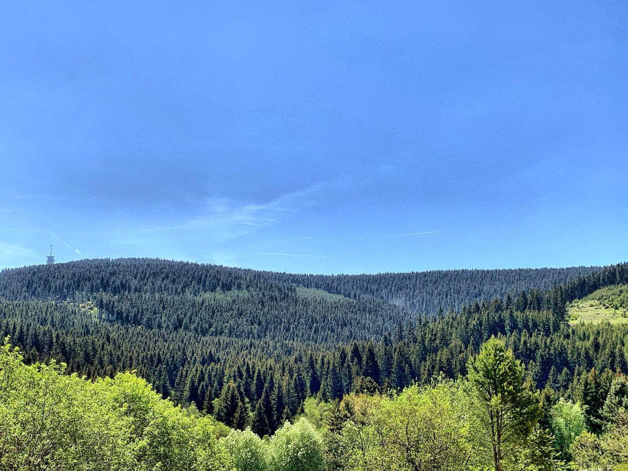 Erzgebirge Suite Bergruhe Oberwiesenthal Esterno foto